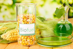 Kelvin biofuel availability